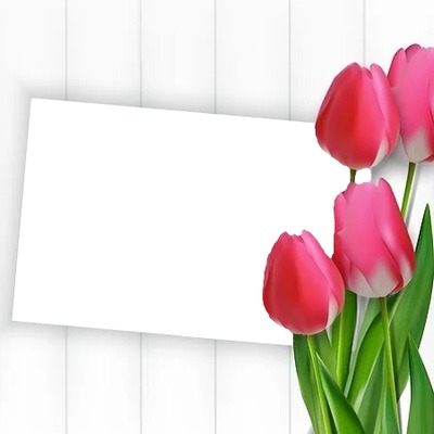 marco y tulipanes fucsia2 Fotomontage