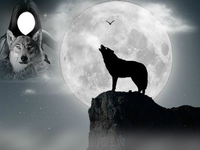 loup a la lune Photomontage