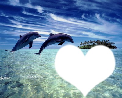 coeur du dauphin Φωτομοντάζ