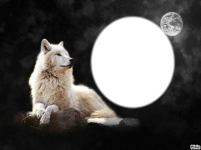 loup lune Fotomontagem