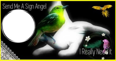SEND ME A SIGN ANGEL Montage photo