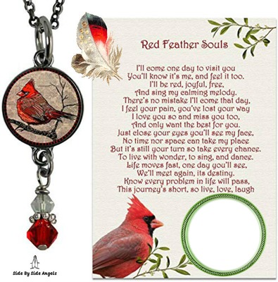 red feather souls Photo frame effect