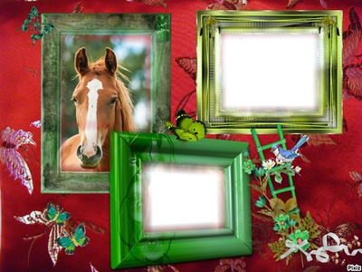 Cadre chevaux Photomontage