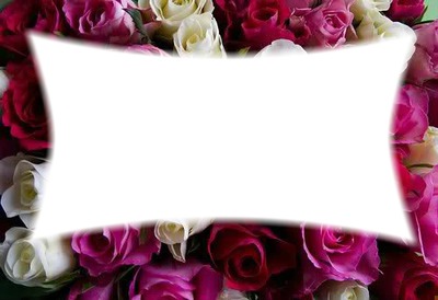 cadre fleur rose Fotomontaggio
