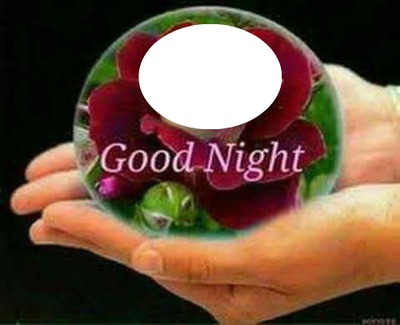 good night Montage photo