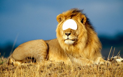 lion Montaje fotografico