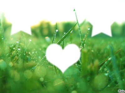Etoiles + Coeur = Herbe (Vive l'imagination XD) Photomontage