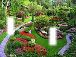 green lusious garden Photo frame effect