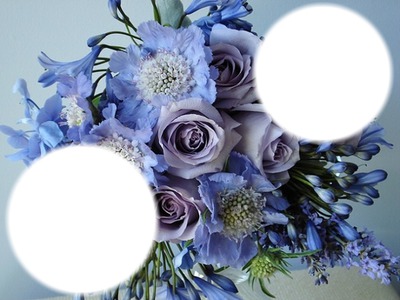 Trés fleurs bleue* Fotomontage
