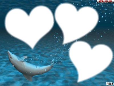 dauphin de coeur Fotomontagem