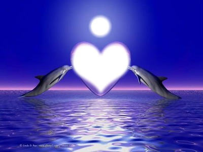le coeur en dauphin Valokuvamontaasi