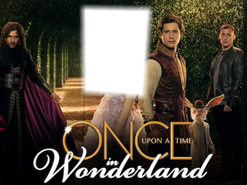 upon a time in wonderland Montage photo