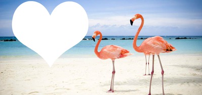 Flamants roses plage Montage photo