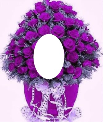 purple roses-hdh 1 Fotomontasje