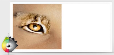 oeil de tigre Fotomontaggio