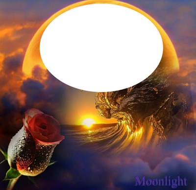 ola,luna,flor Photo frame effect