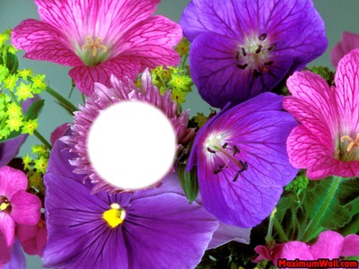 fleur Fotomontagem