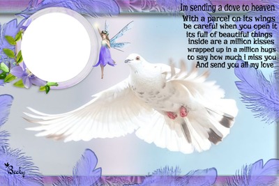 sending a dove to heaven Fotomontage