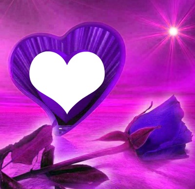 lavender rose Montaje fotografico