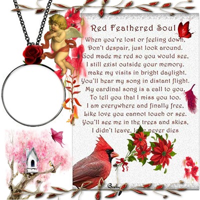 red feathered soul Photo frame effect