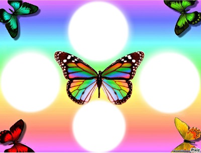 Papillons Φωτομοντάζ