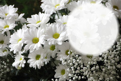 Fleurs - bouquet Photo frame effect