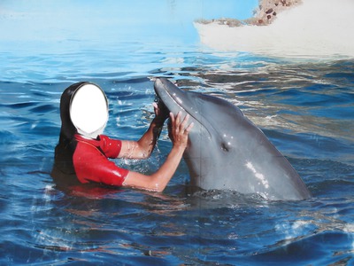 Delfin Photo frame effect