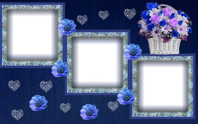 Cadre fleurs Photo frame effect