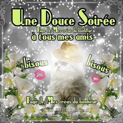 douce soiree Fotoğraf editörü