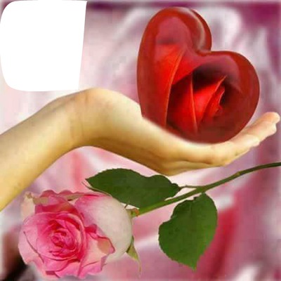 corazon y rosa Fotomontage