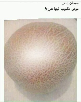 melon Fotomontaggio