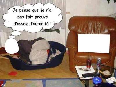 humour chien / chat Montage photo