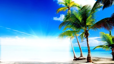 Playa palmeras Montaje fotografico
