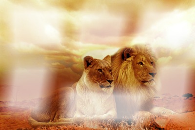 lion Fotomontage