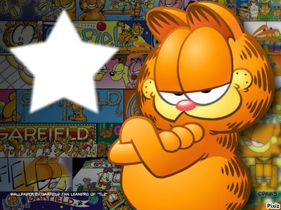 Garfield star Montaje fotografico