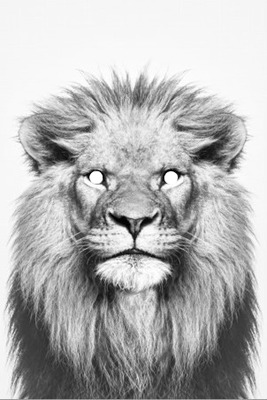 Lion Fotomontāža