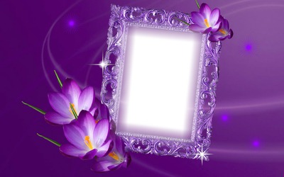 Cadre purple Fotomontaż