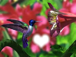 oiseau dans une fleur Фотомонтажа