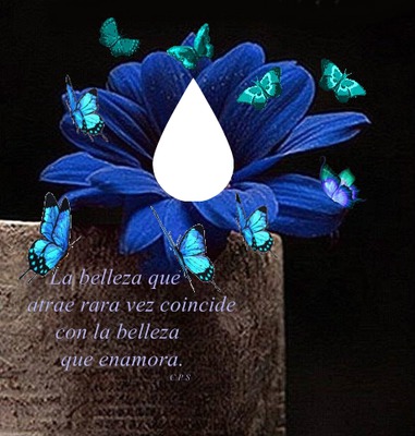  Flor azul con mariposas Photo frame effect