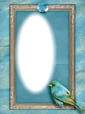 cadre bleu oiseau Montaje fotografico