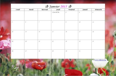 calendrier janvier 2015 Montaje fotografico