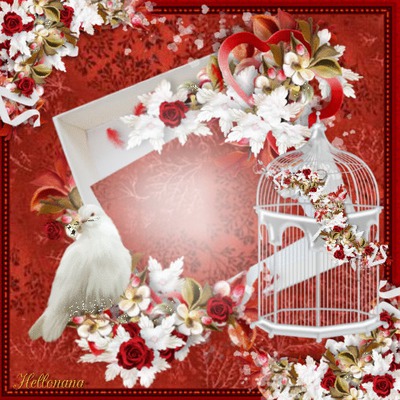 La colombe à la rose Photo frame effect