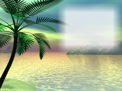 palmier Photomontage