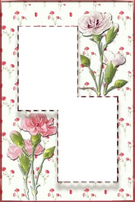 marco y flores rosadas, 2 fotos. Photomontage
