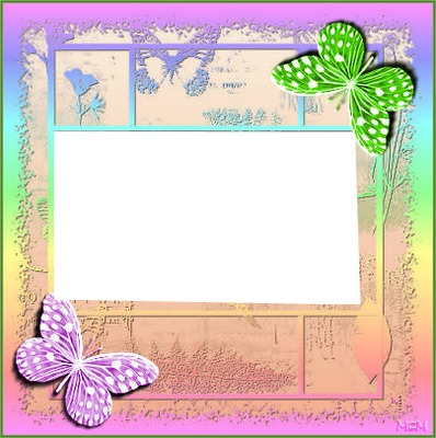 cadres avec papillons vert et rose 1 photo Photomontage
