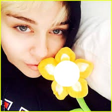 Yo Soy La Flor De Miley Cyrus Fotomontagem