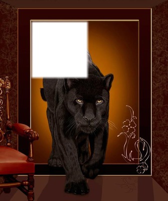 panthere noir Fotomontáž