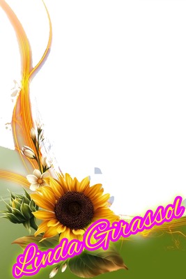 Girassol mimosdececinha Fotomontagem