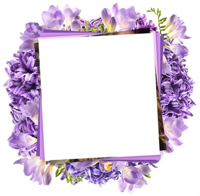 flores lilas Photo frame effect