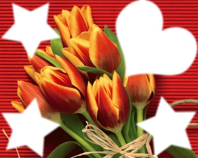 tulipe Photomontage